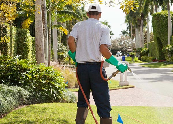 About Mechanicsville IA Pest Control